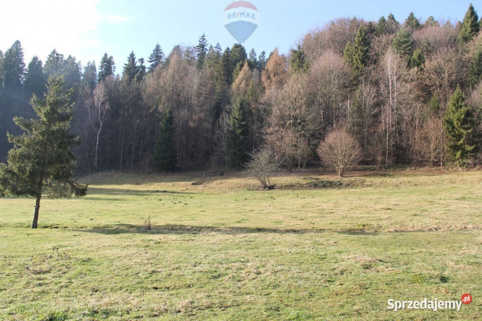 Działka budowlano rolna w miejscowości Grywałd sprzedam