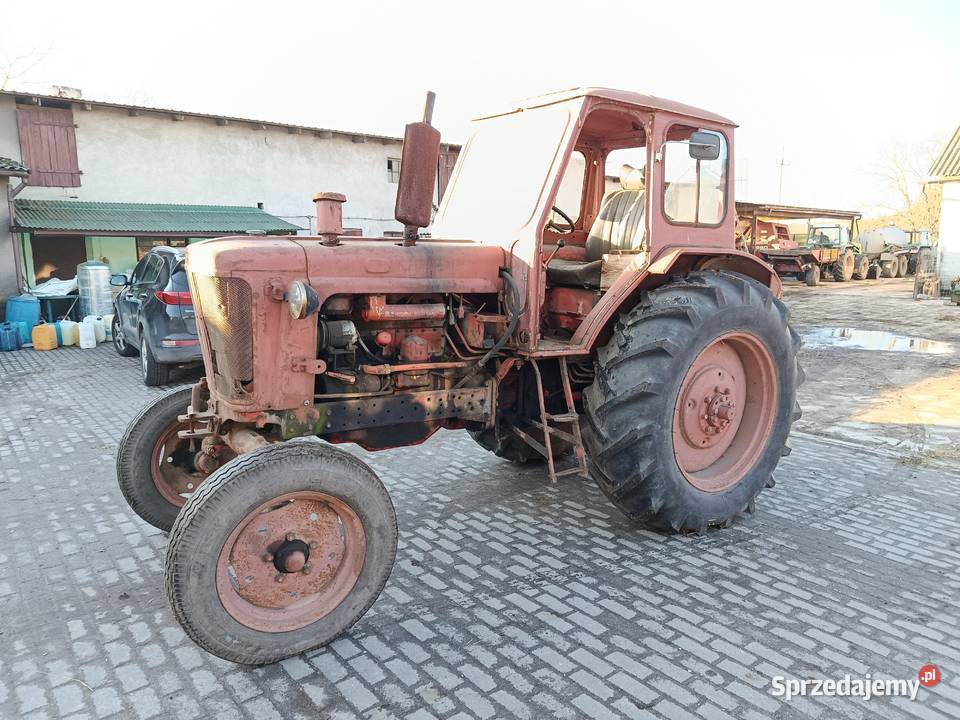 Białorus Jumz Pabianice