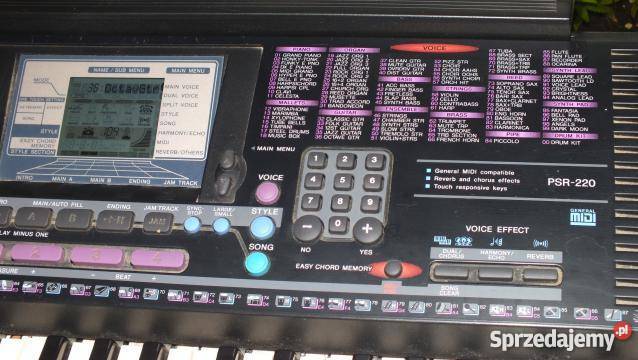 Keyboard Yamaha psr220 Yamaha Muzyka Inowrocław