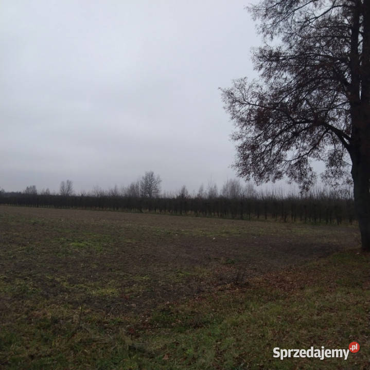 Ziemia inwestycyjna rolnobudowlana 202 ha trasie Białki Dolne