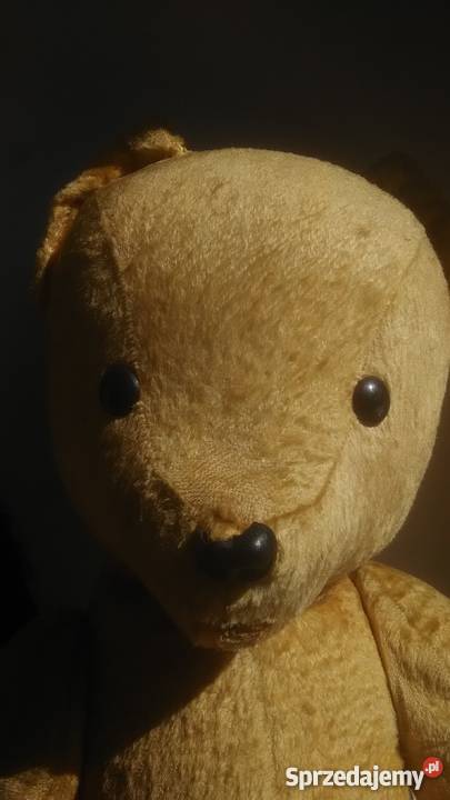 Mis trociniak PRL Częstochowa