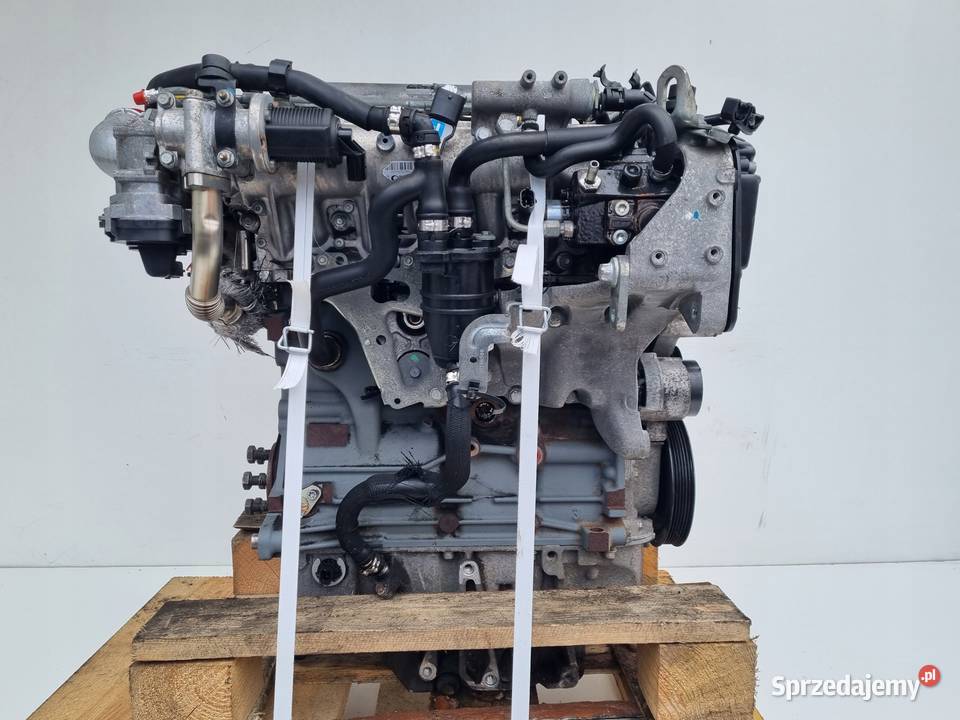 SILNIK KOMPLET Opel Vectra C 19 CDTI 16V 150 lubelskie Rudka