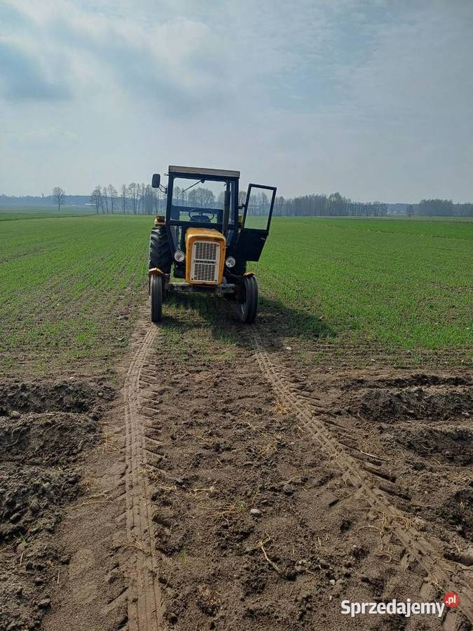 Ciągnik ursus c360 wielkopolskie Koźminek