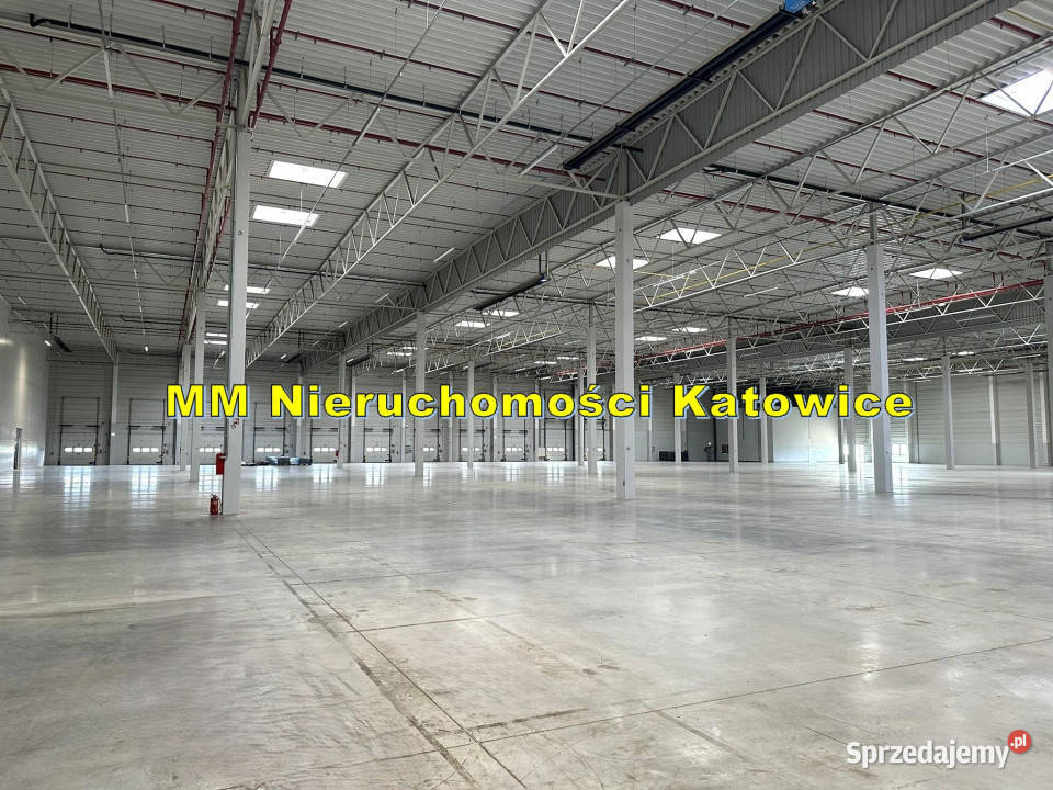 Nowoczesna powierzchnia magazynowoprodukcyjna winda Ruda Śląska