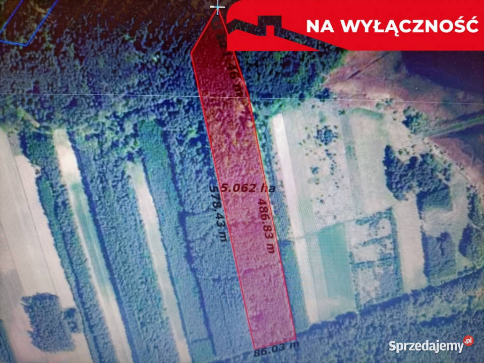 Działka leśna 390 ha w Brodach gm Pierzchnica Sprzedaż świętokrzyskie Brody