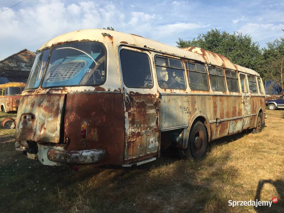 Autobus Jelcz ogórek 043 rto Tarnobrzeg