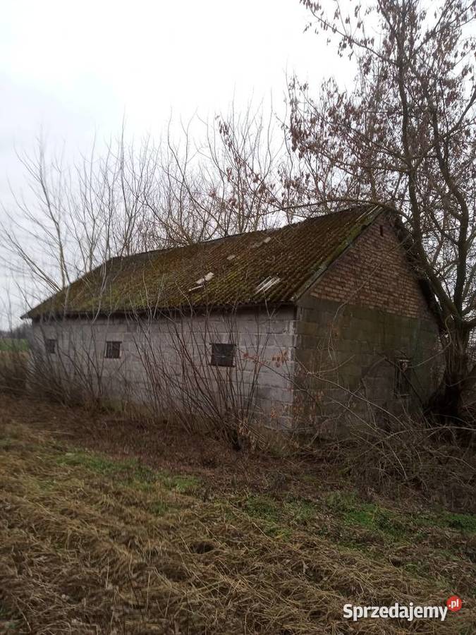 Sprzedam działkę mazowieckie Świercze