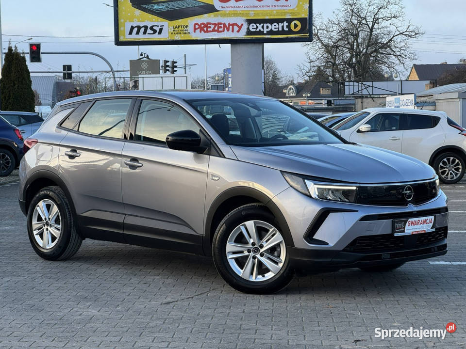 Opel Grandland FILMBezwypadkowyNiski kamera cofania Opel Suchy Las