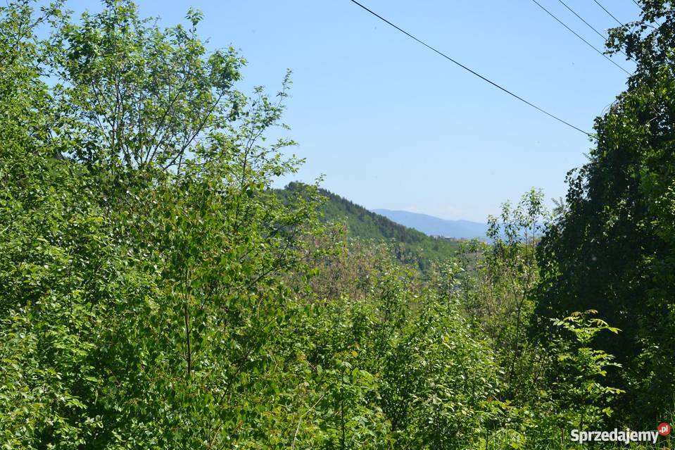 Działka gospodarstwo rolne Łukowica Łukowica