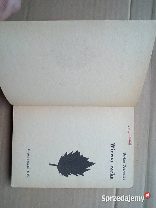 Wierna rzeka Stefan Żeromski Sokółka