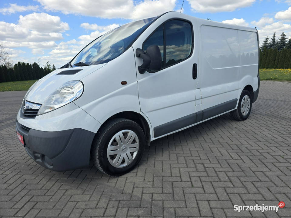 Opel Vivaro 20dci immobilizer Kutno