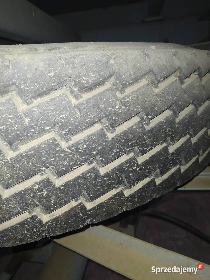 Przyczepa D55 nieuszkodzony lubelskie Maciejów Nowy