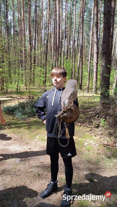 Roztocze Dziupla Pana Sowy sprzedam