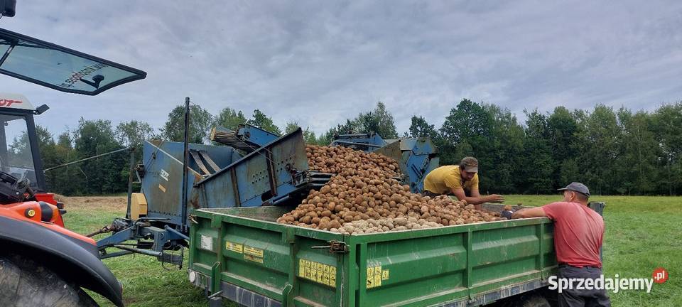 Kombajn do ziemniaków Anna Z644 śląskie