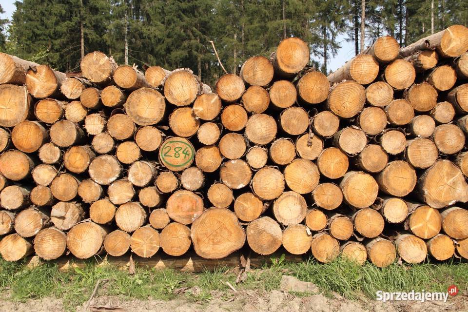 Drzewo Opałowe Sprzedam śląskie Częstochowa
