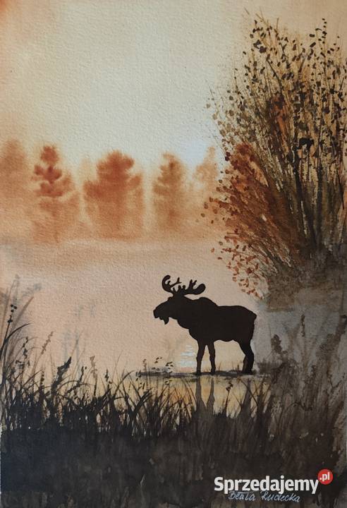 Akwarela Akwarelka Obraz pt Mglisty Majestat Łódź