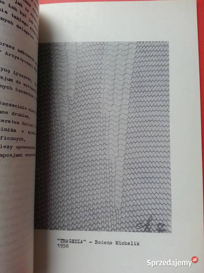 3060 Fotografia Artystyczna Na Ziemiach ZachI Szczecin