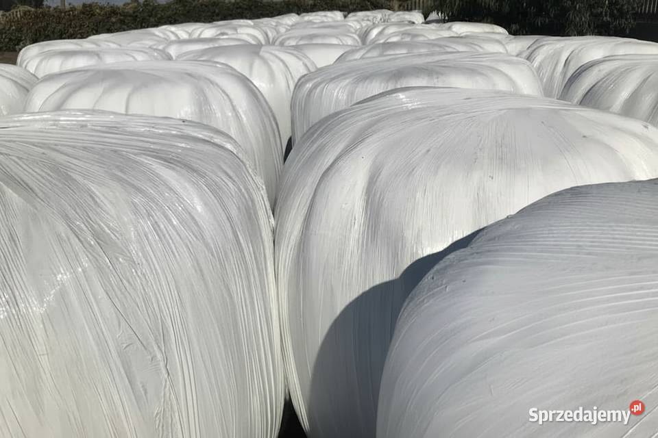 Sianokiszonka kiszonka bele łódzkie Wartkowice