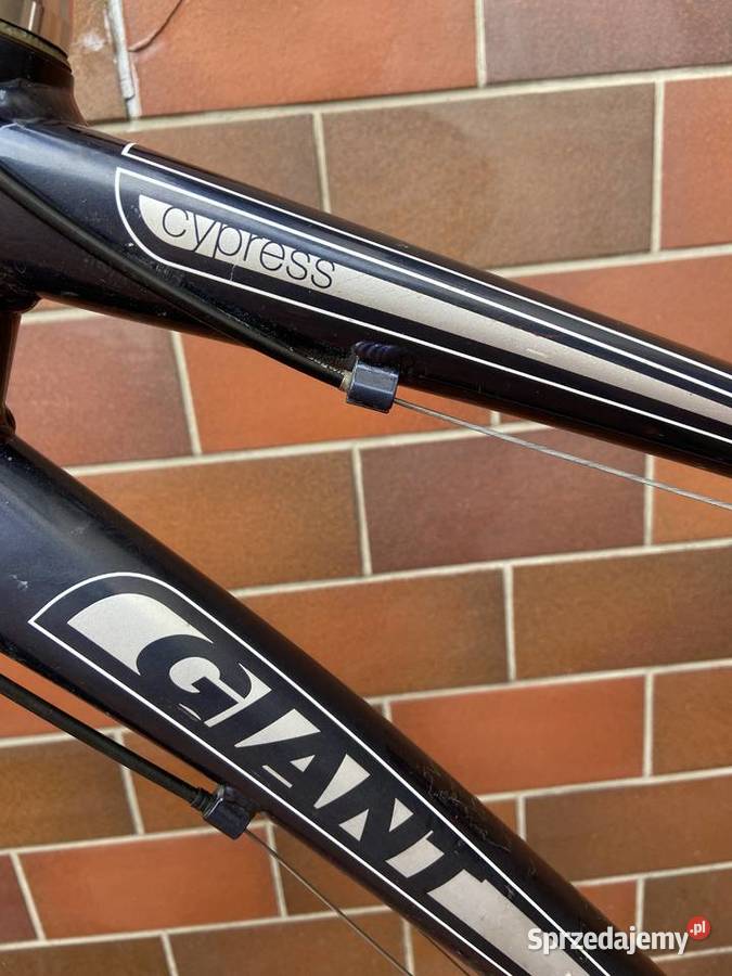 Rower Trekkingowy Giant kolor grafitowy Częstochowa