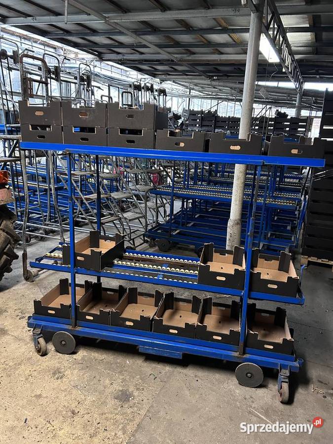 Wózek rolkowy szklarniowy do zbioru warzyw Dom i Ogród