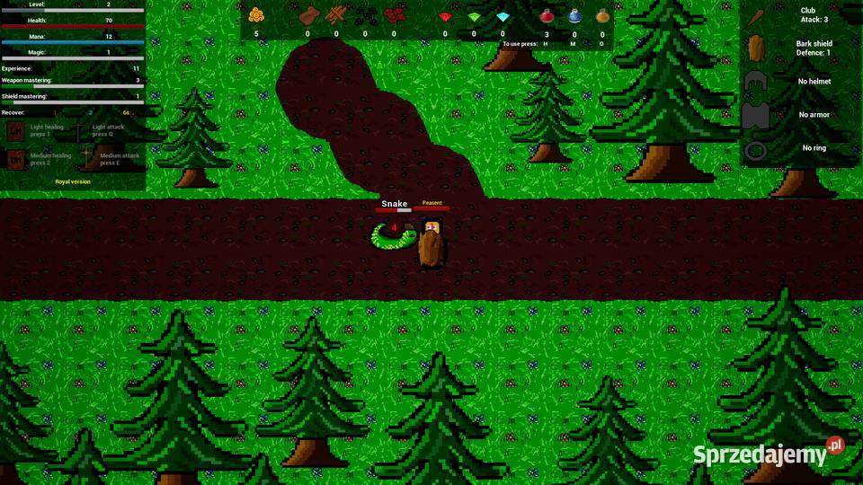 Medieval gate 2D RPG