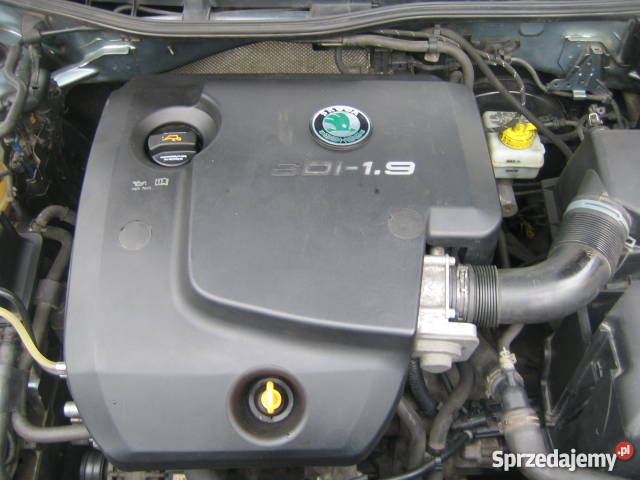 Skoda octavia 19 sdi super stan hatchback Siedlce