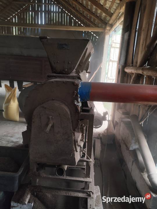 Bukownik Łopiennik Górny