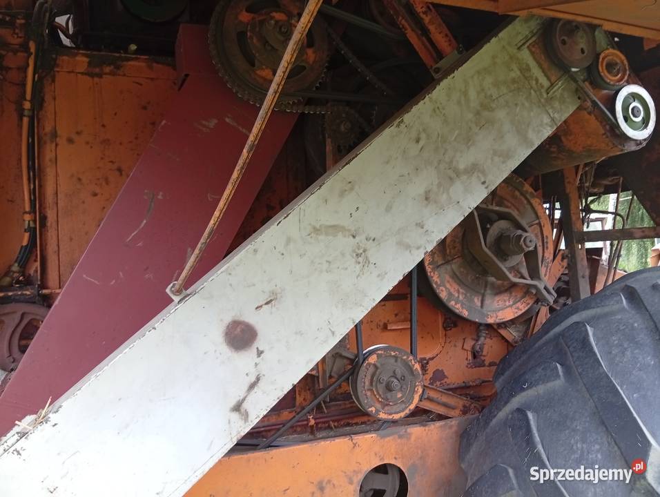 Sprzedam bizona ZO56 Boczki Chełmońskie