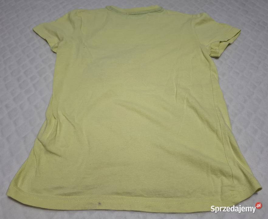 Koszulka krótki rękaw Tshirt żółta krokodyl Boys chłopiec Czeladź