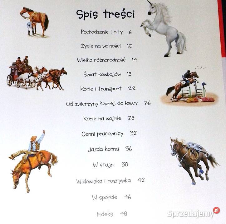 101 ciekawostek Konie Anais Puygrenier lubelskie Chełm