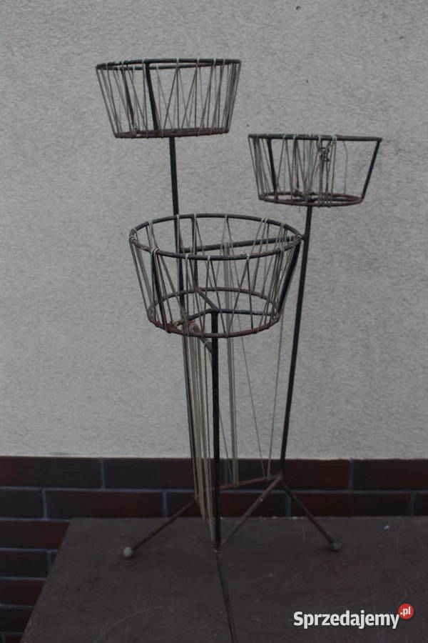 kwietnik żyłkowy prl wielkopolskie Kalisz sprzedam