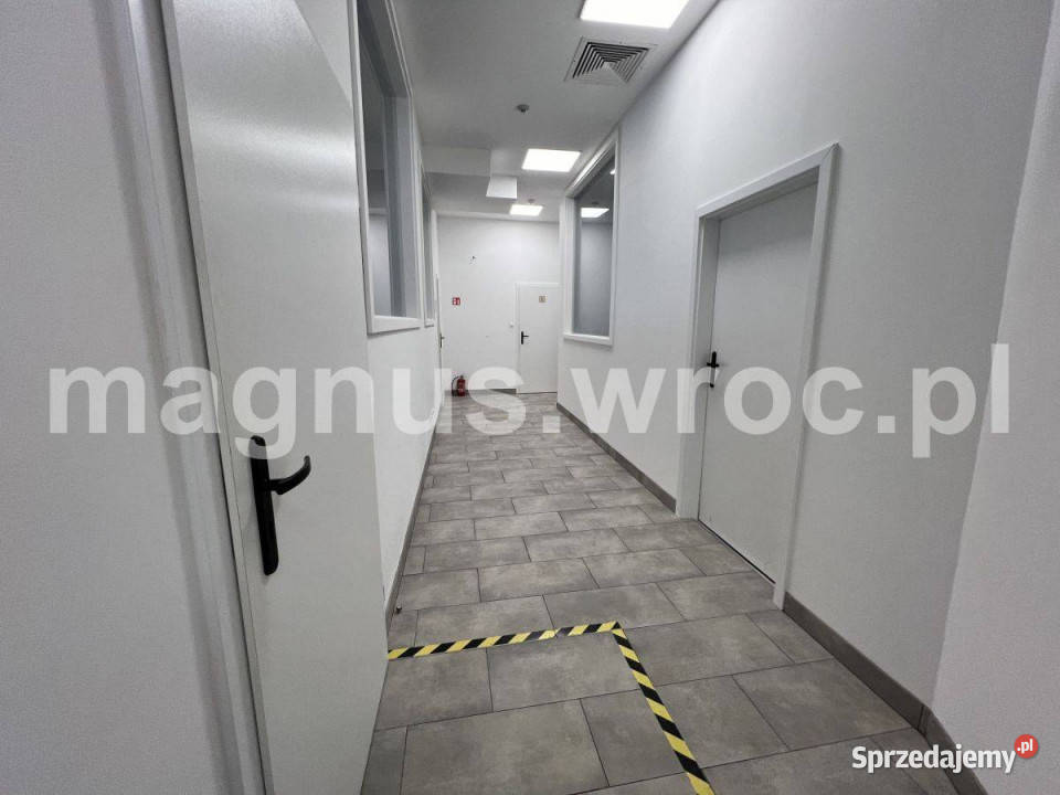 Powierzchnia biurowa w centrum Wrocławia Wrocław