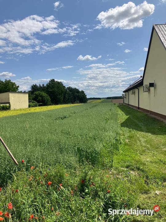 Na sprzedaż działka 110 ha Gmina Lgota Wielka sprzedam