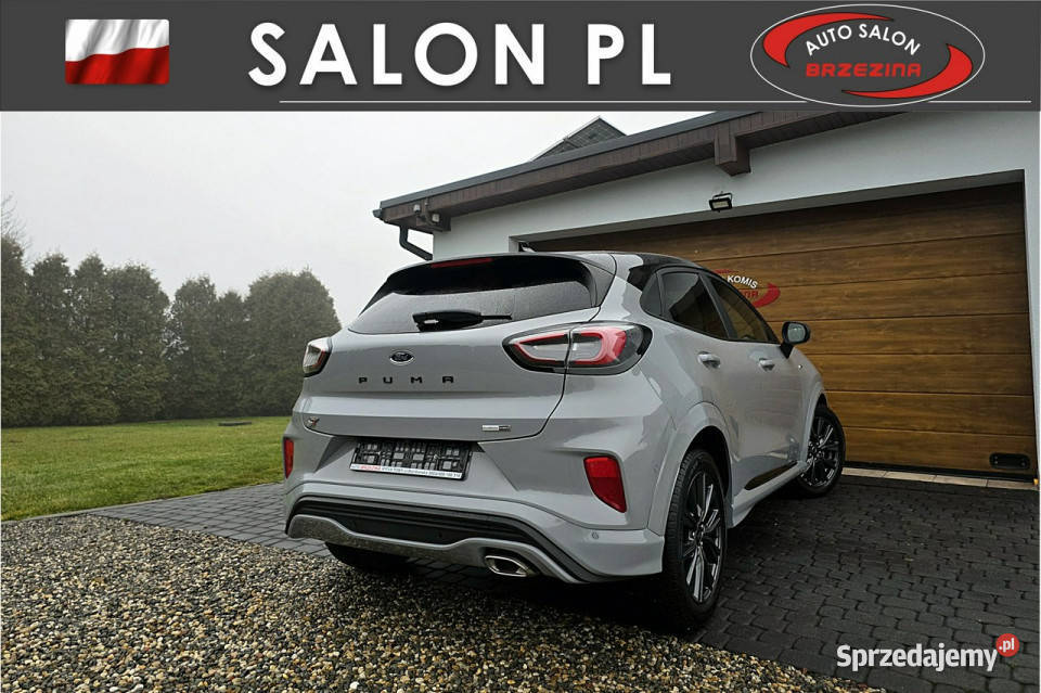 Ford Puma serwis ASO irej 2022 automat hak II ASR (kontrola trakcji) Puma śląskie Rydułtowy