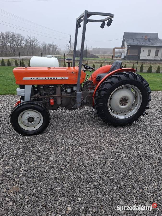 Massey Ferguson 140135235 sadowniczy mazowieckie Lipsko
