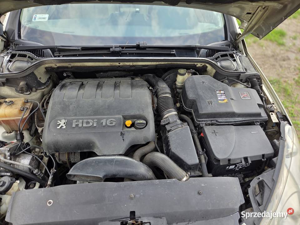 Peugeot 407 automat wielkopolskie Turek