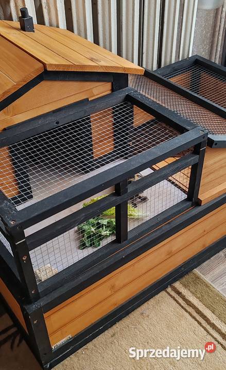 Żółw Stepowy Bełchatów sprzedam