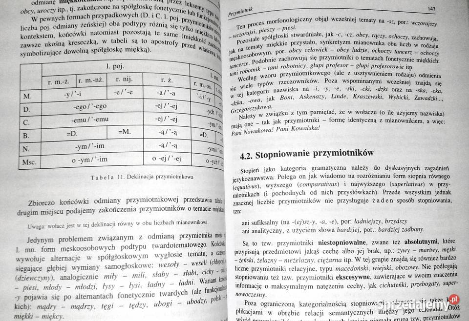 Zarys gramatyki polskiej Alicja Nagórko miękka Chełm
