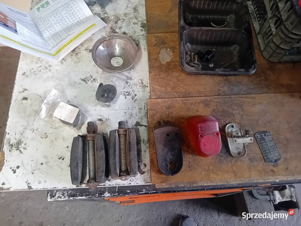 Komar sztywniak sprawny Kwidzyn