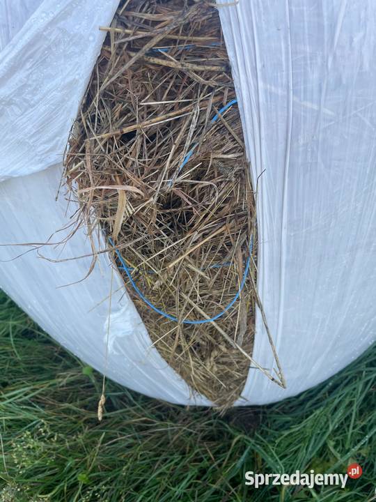 Baloty sianokiszonki