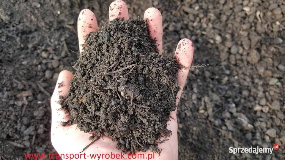 kompost nawóz ziemia kompostowa do kwiatów i Tychy
