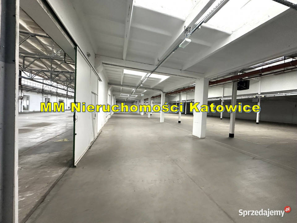 Magazyn do wynajęcia Katowice centrum ogrzewanie