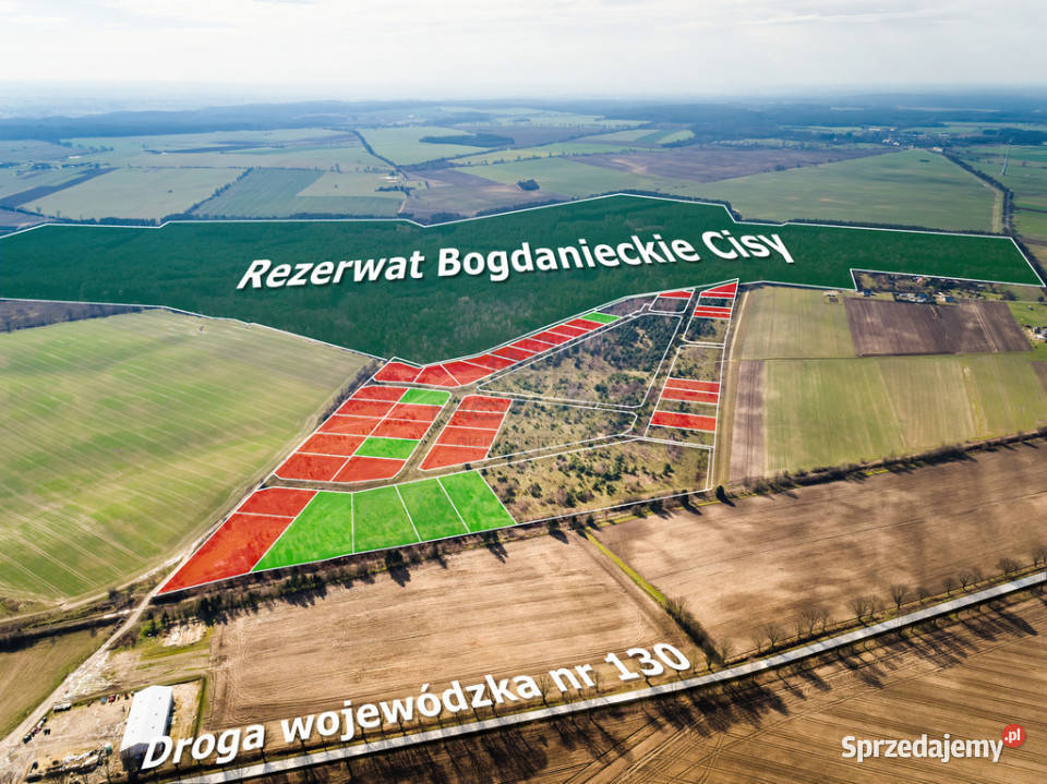 Działki na granicy BaczynaMarwice miejscowy plan Baczyna