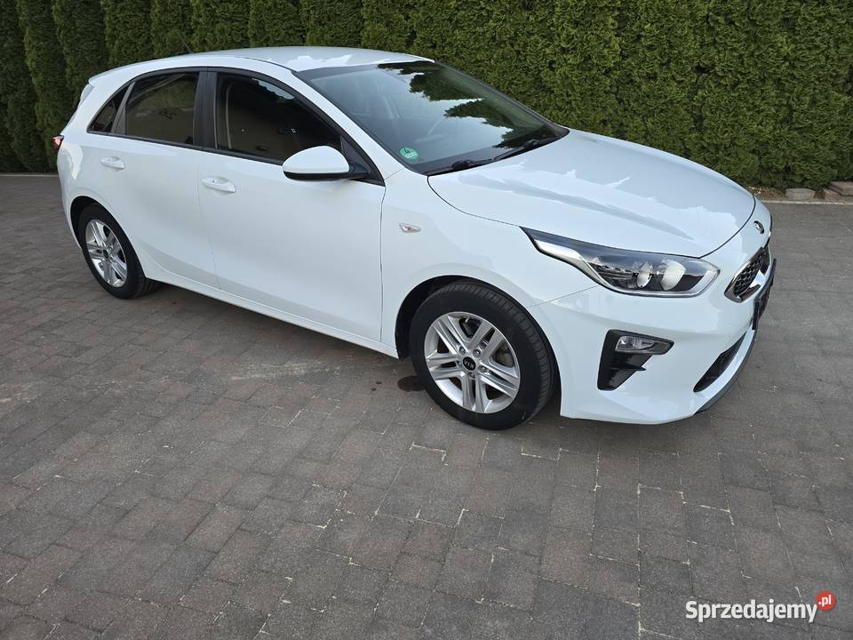 KIA CEED 2019r 14 benzyna Przasnysz
