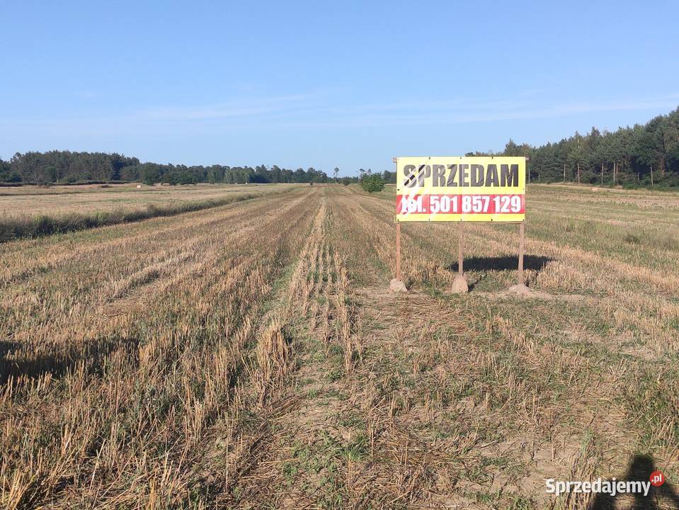 Ziemia rolna 153ha Długa działka Ziemia Chociw sprzedam