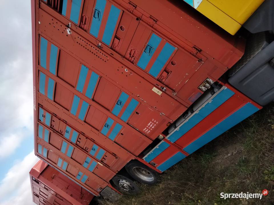 Scania V8 R480 Zestaw do przewozu żywca Zgierz