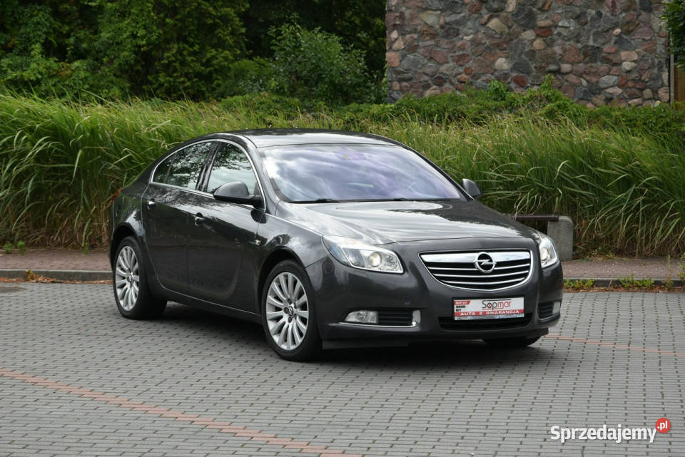 Opel Insignia 20CDTi 160 Manual 2009r Polski Zarejestrowany w Polsce mazowieckie Kampinos