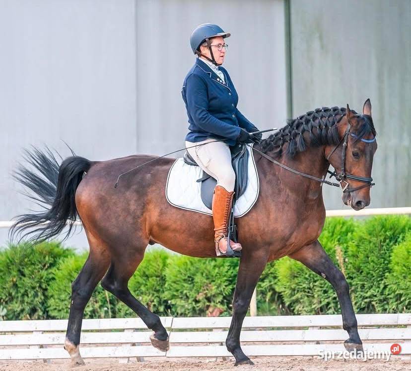 Walach do małego sportu Pruszków