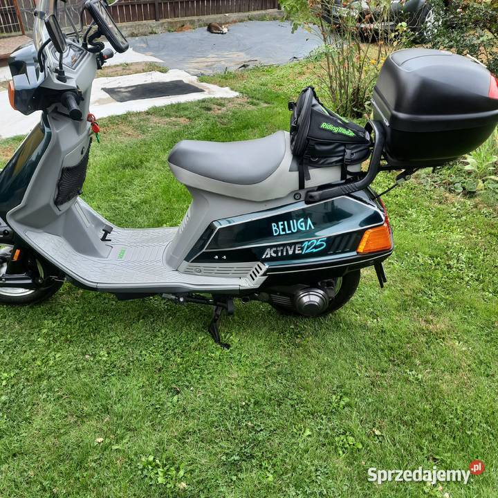 Beluga naklejka skuter Yamaha Raszyn sprzedam