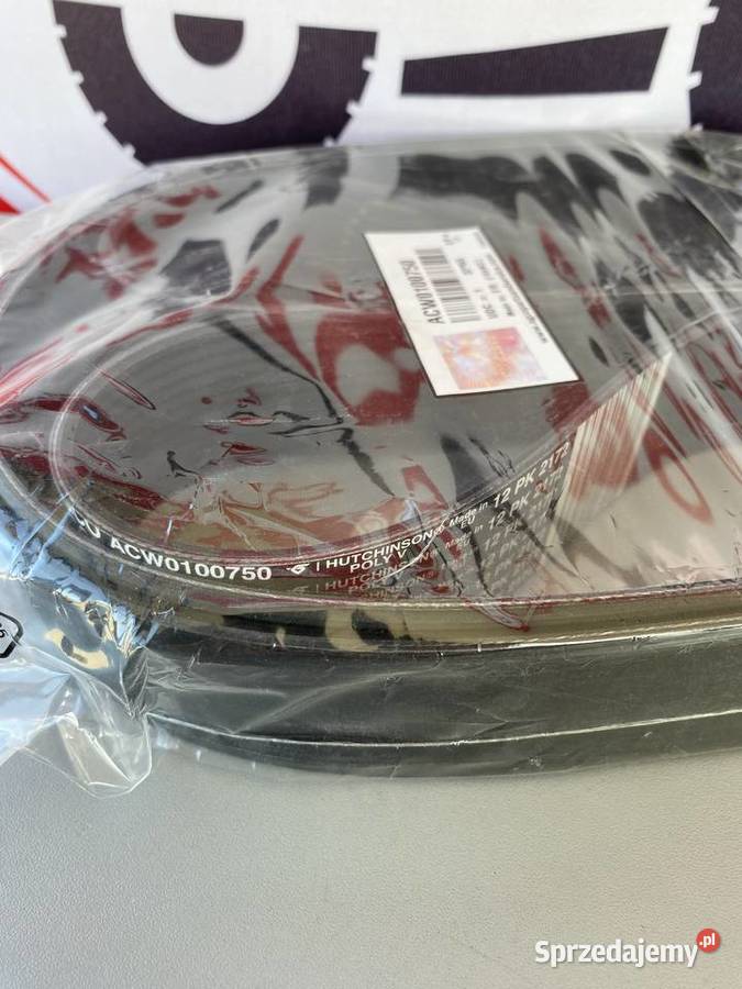 Pas wielorowkowy 12PK L2172mm Massey Ferguson